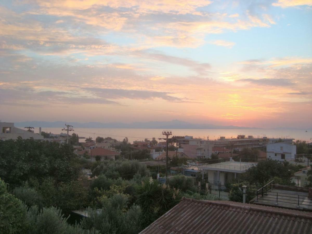 Smile House Near Athens Airport 300M From The Sea Villa Artemida  Exterior foto