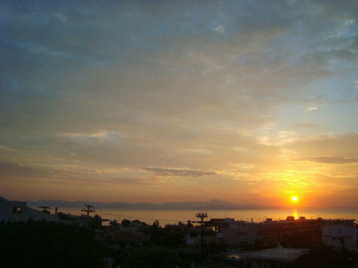 Smile House Near Athens Airport 300M From The Sea Villa Artemida  Exterior foto