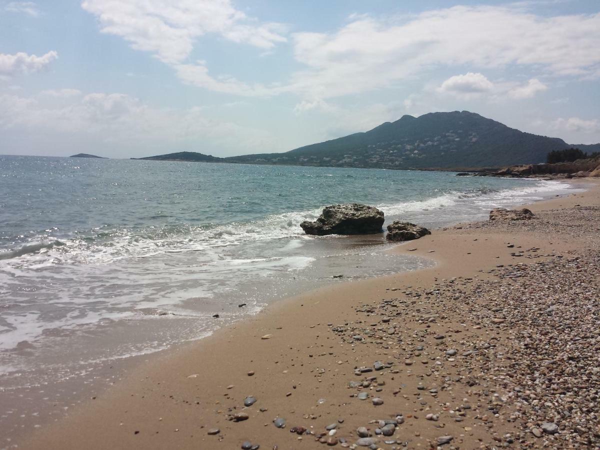 Smile House Near Athens Airport 300M From The Sea Villa Artemida  Exterior foto
