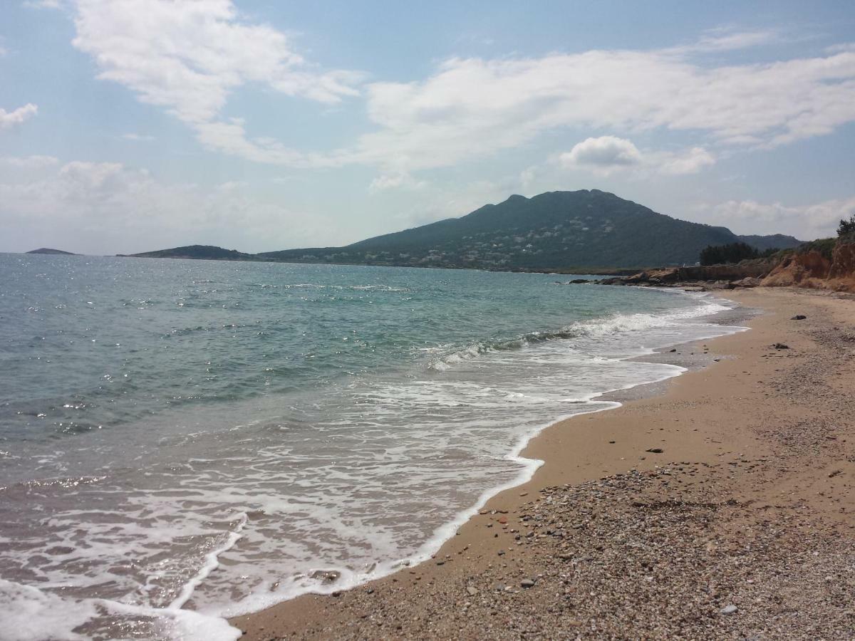 Smile House Near Athens Airport 300M From The Sea Villa Artemida  Exterior foto