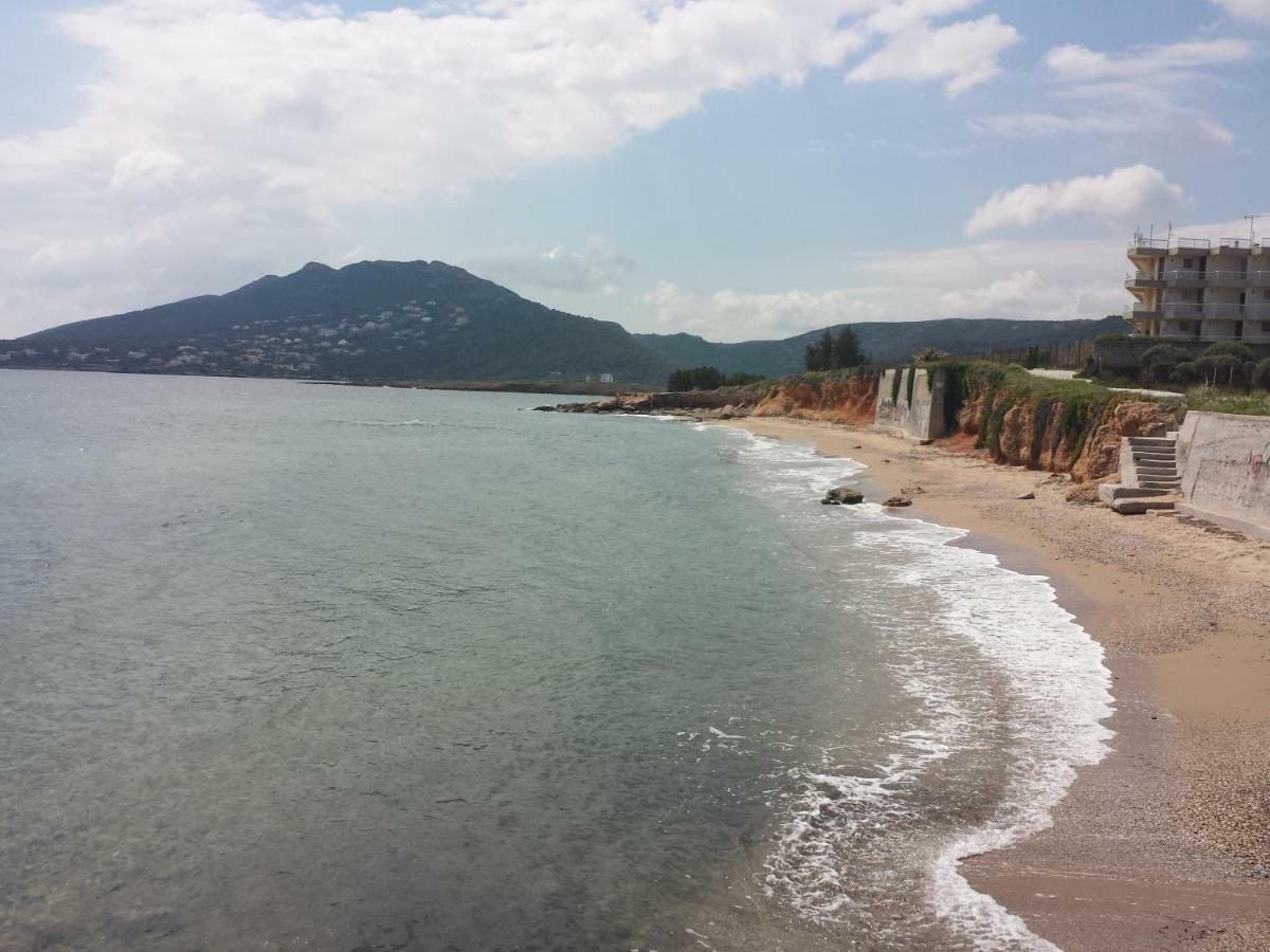 Smile House Near Athens Airport 300M From The Sea Villa Artemida  Exterior foto