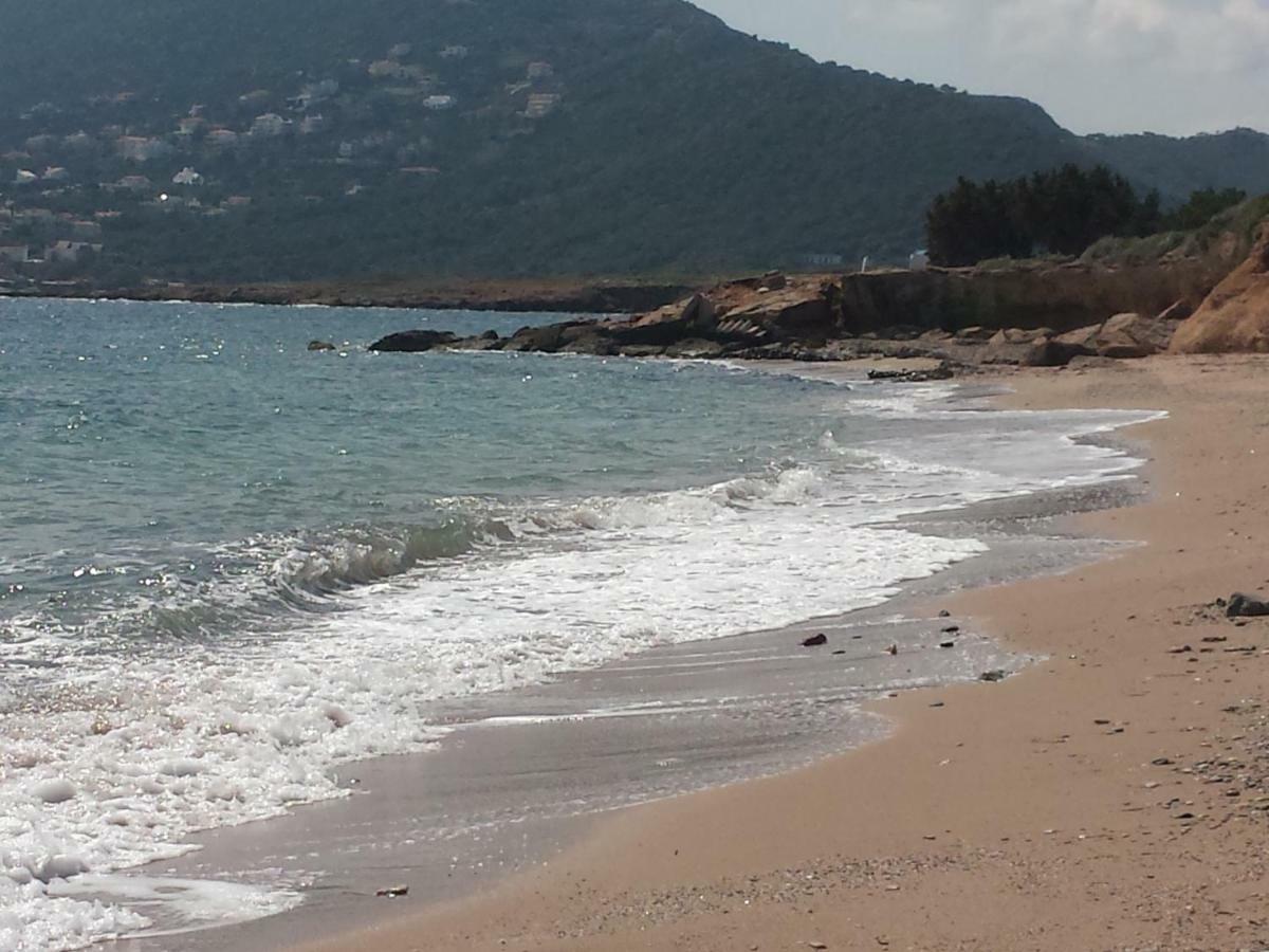 Smile House Near Athens Airport 300M From The Sea Villa Artemida  Exterior foto